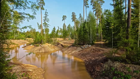 Lapso-De-Tiempo-De-Un-Lago-En-Un-Bosque,-El-Nivel-Del-Mar-Sube-Y-Baja-Debido-A-La-Escasez-De-Agua