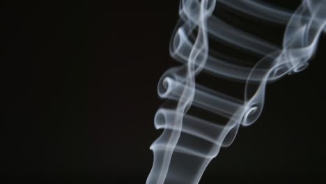 slow motion: smoke curves on a black background