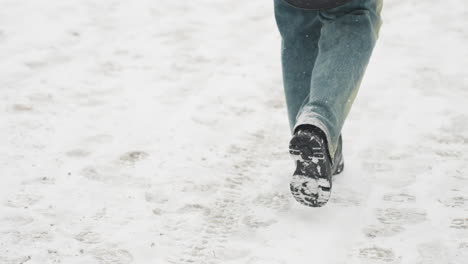 back view of someone dressed in a winter jacket and jeans, carrying a guitar, walking through snowfall, with snowflakes clinging to the jacket