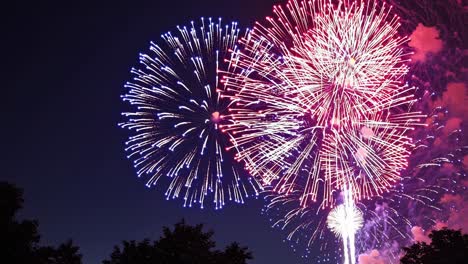 Colorful fireworks explode against the dark night sky, creating a vibrant and celebratory atmosphere, illuminating the silhouettes of trees below