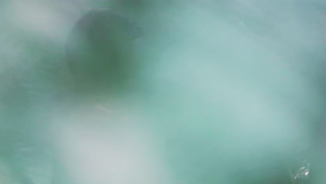 flujo de agua que cae llenando cubos de rueda de agua de madera haciéndolo girar