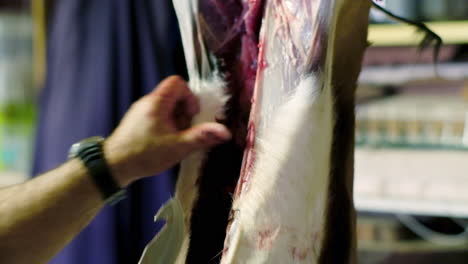 butcher cuts off skin from meat of hanging springbuck carcass, closeup view