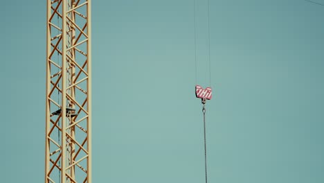 close up of crane cable and hook with striped block at construction site