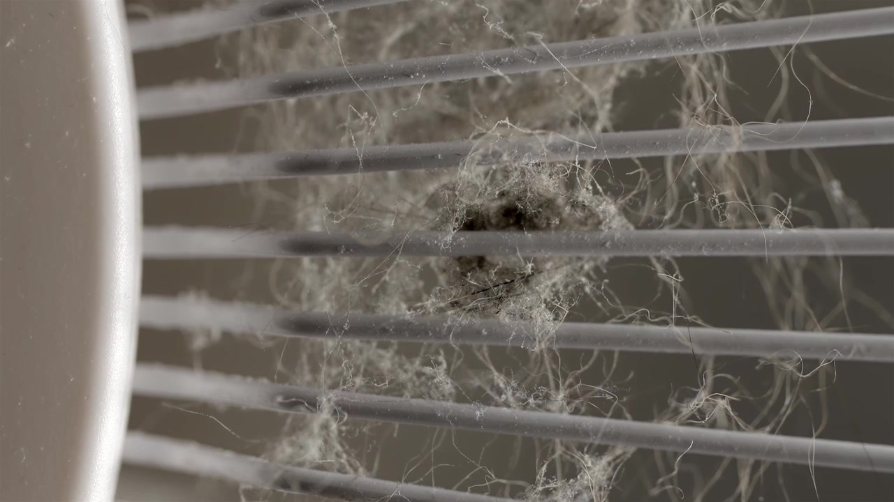 Polvere e capelli si accumulano sulla griglia di un ventilatore oscillante bianco all'interno.