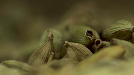 Cardamom-light-swipe-across-frame-extreme-close-up-macro-isolated-filling-the-frame