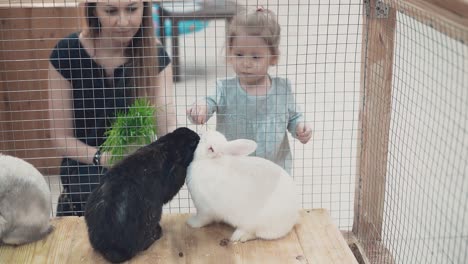 young beautiful mother with little daughter looking at rabbits in cage feeding them