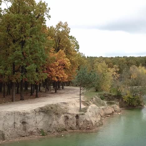 bosque salvaje y lago
