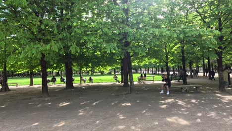 people walking and relaxing in the park