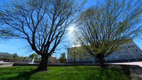 hyperlapse wide angle fov shot of movement towards leafless trees on a sunny spring day