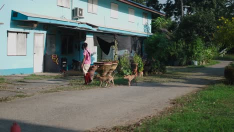 exterior of a thai home