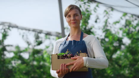 farmer agronomist holding box at agrarian fruit tree plantation in summer.