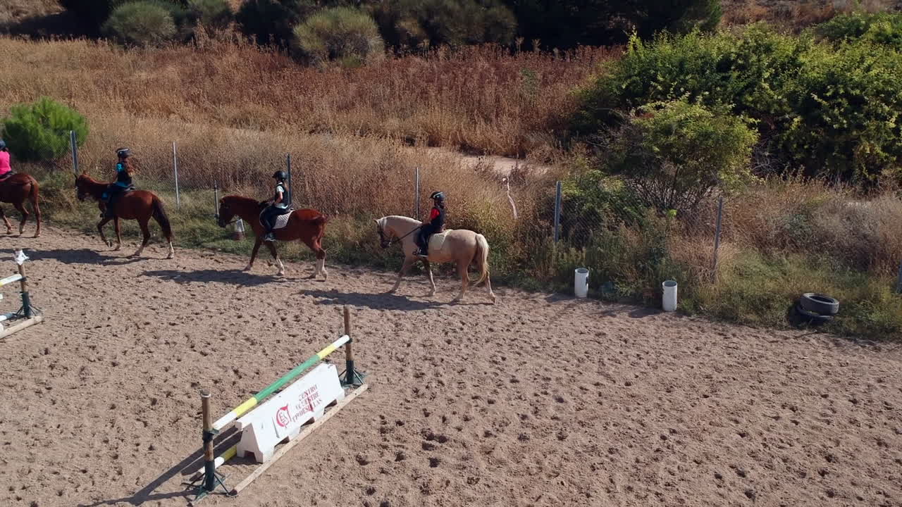 hermosos caballos y un día soleado