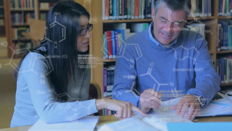 professors studying in a library