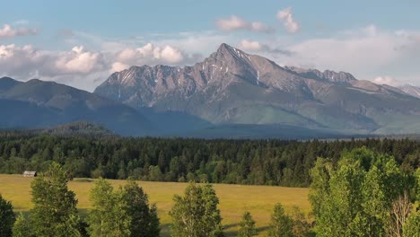 daytime mountain landscape dynamic slow stable drone shot in alpine environment and vivid green lush grass