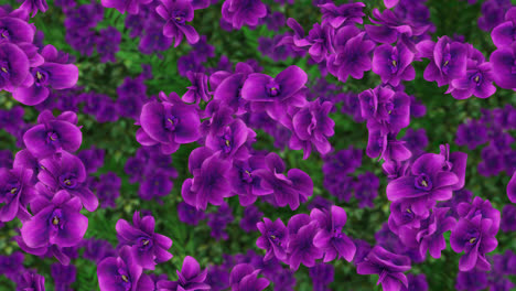 orchid loop tile background purple swirling