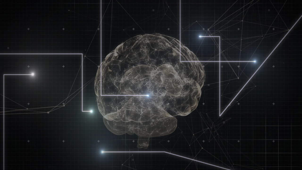 회전하는 뇌 위에 빛의 반점이 생성됩니다.