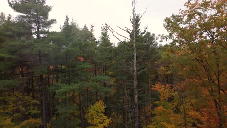 Vista-De-Drones-Del-Parque-Provincial-Killbear-Durante-La-Lluvia-De-Otoño,-Ontario,-Canadá