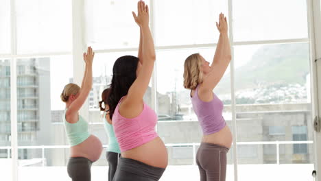 pregnant women doing yoga in fitness studio