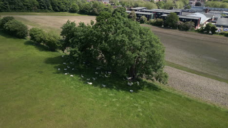 Aerial-shot-of-the-University-for-the-Creative-Arts-Farnham-campus