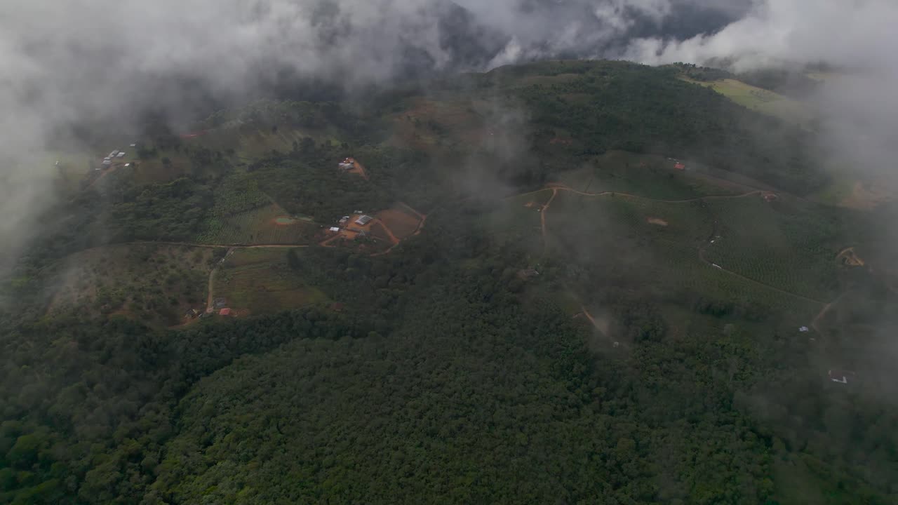 Zenith view with drone above coffee fields and forest at a foggy morning in Colombia