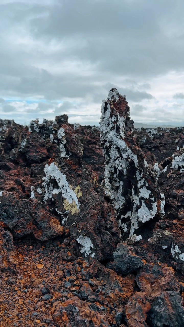 Takkede lavasøjler med lav, Las Tintoreras, Isabela Island. Nærbillede af lodrette vulkanske formationer i rød og sort under grå skyer.