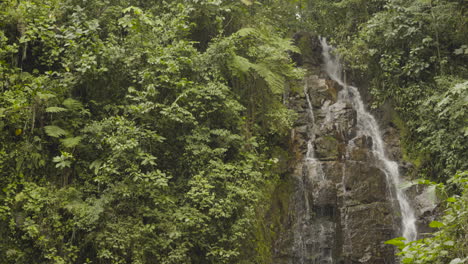 general shot, waterfall in the amazon, ecuador.