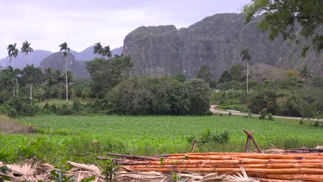 an establishing shot of beautiful vinales national park cuba 1