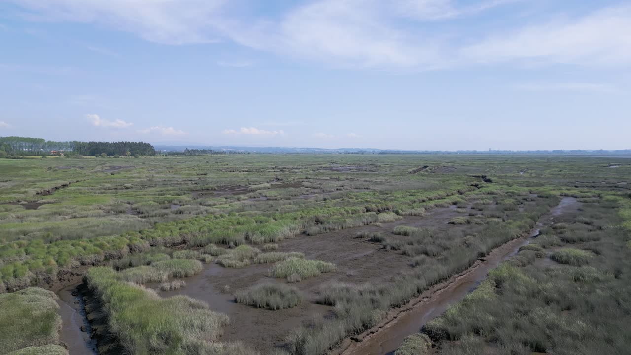 푸른 하늘 아래의 베이로스 마을의 초록색 진, estarreja, aveiro, 포르투갈 - 공중