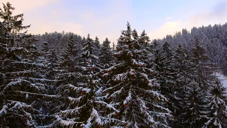 Luftaufnahme-Eines-Waldes-Bei-Starkem-Schneefall