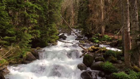 mountain river in the wood. beautiful wildlife landscape.