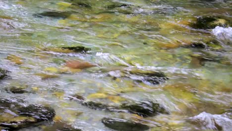 Fluss-Wasser-Fluss