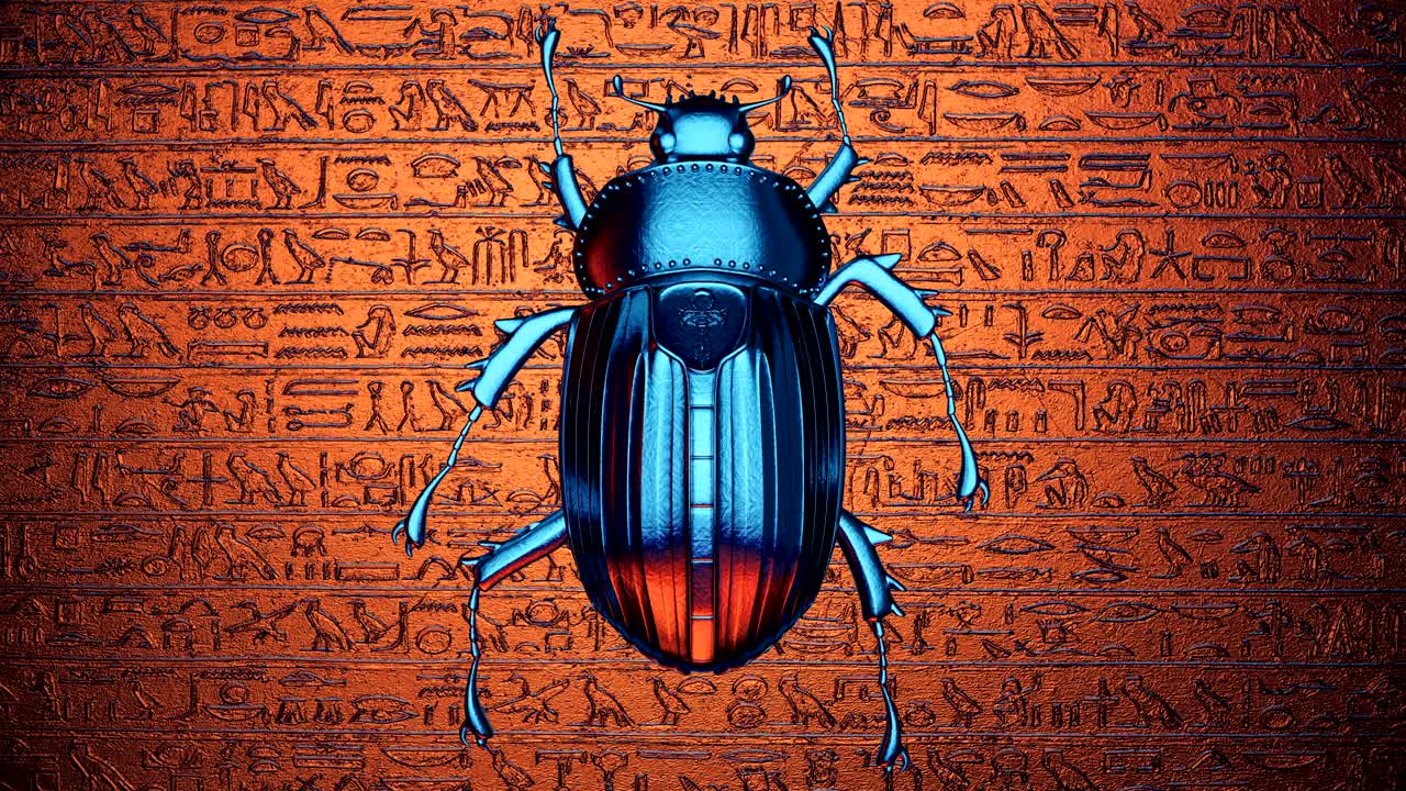 el bucle del escarabajo vj