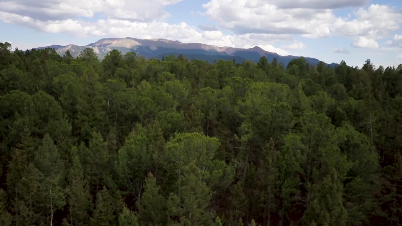 Veduta aerea di una foresta lussureggiante con montagne sullo sfondo.