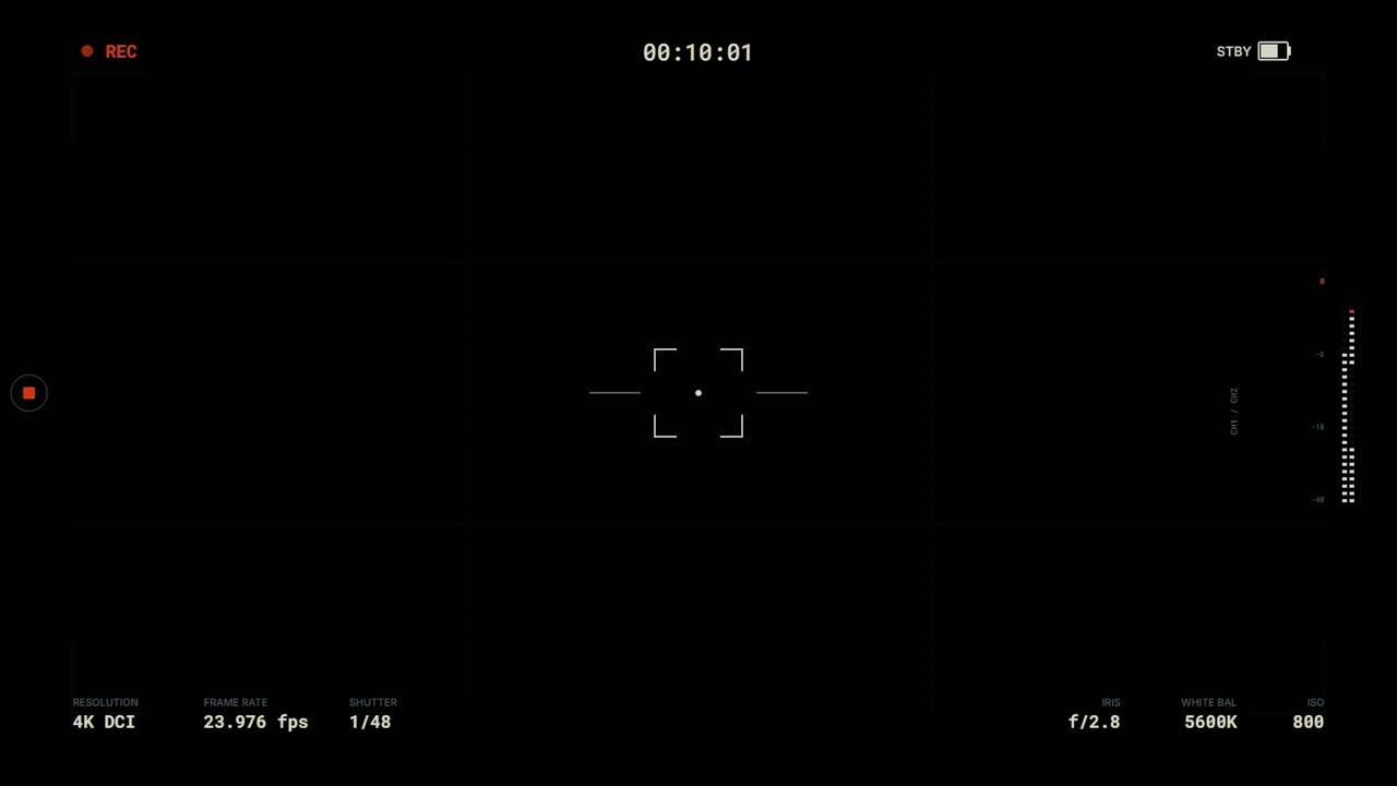 Digital Camera Viewfinder Overlay with Recording Interface