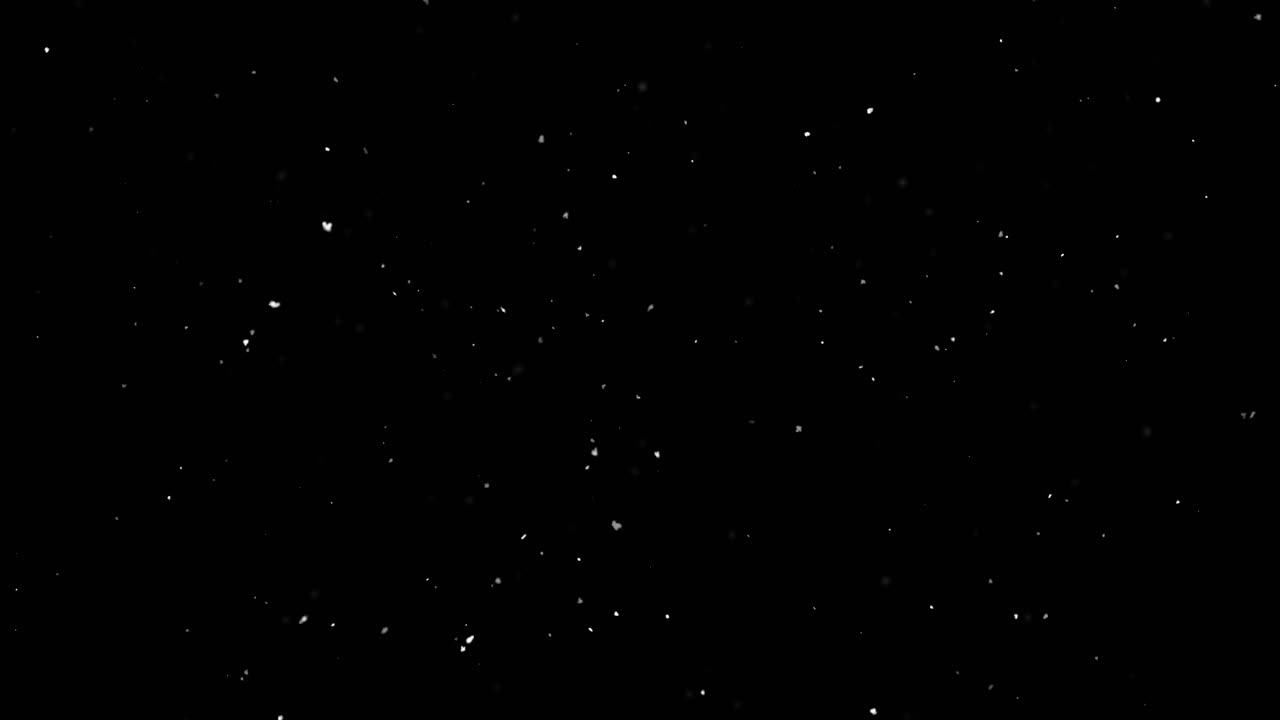 Snowflakes on a Black Background