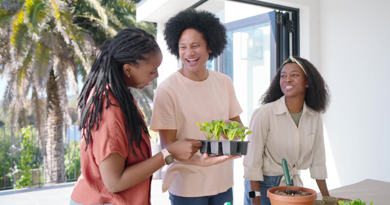 African American friends holding trays, potting seedlings into terracotta pot by folding doors