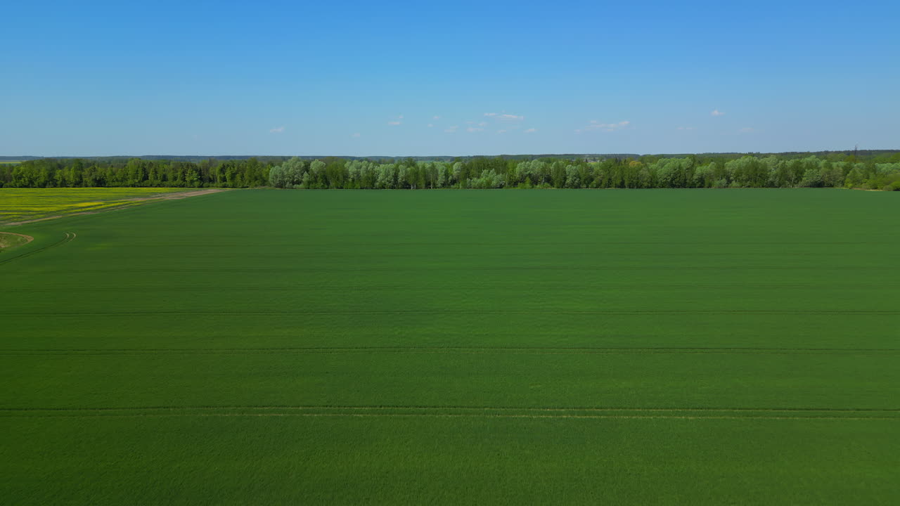 Vue aérienne : Vaste étendue de terres agricoles luxuriantes près d'une forêt, par une journée ensoleillée