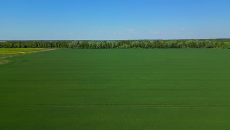 Aerial---Expansive-lush-farmland-near-forest-on-sunny-day