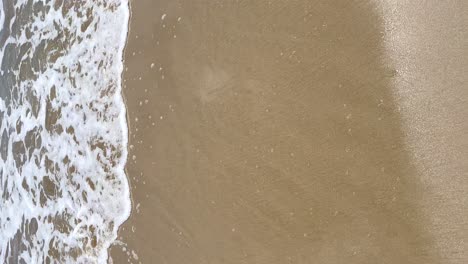 vertical view of the wave that glides through the wet sand of the shore of the beach, vertical