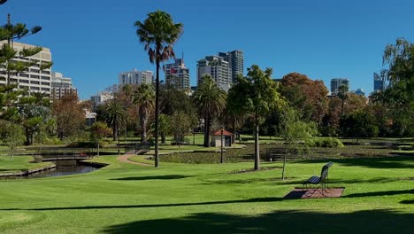 Queens-Gardens,-Perth---city-parkland-with-palm-trees-and-green-lawn