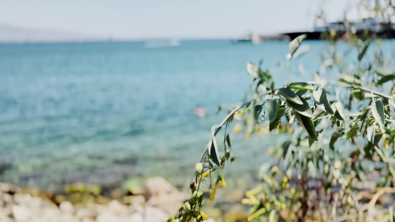 Natural Greek Coastline with Calm Sea