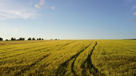 mother and son walking in rural field. beautiful young mother walking with her young son on the wheat field