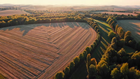 aerial view of agricultural fields at sunset
