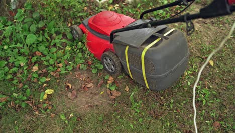 red lawn mower cutting grass. landscaper cutting grass with lawn mower
