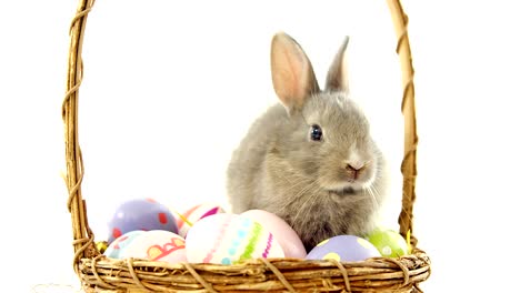 huevos de pascua y conejo de pascua en una canasta de mimbre