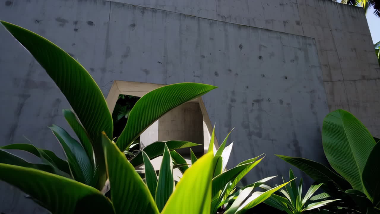 Modern Concrete Structure in a Tropical Garden