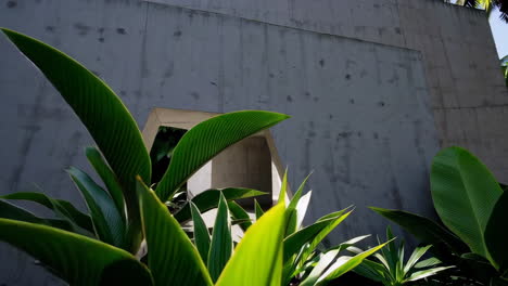 modern concrete structure in a tropical garden