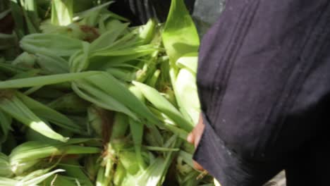 Man-prepares-corn-to-be-sold-at-the-morning-market,-in-Capelinha,-Minas-Gerais,-Brazil-1