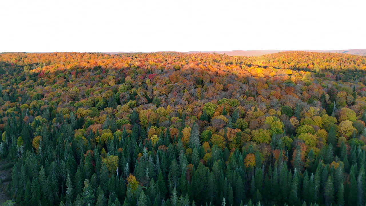 Aerial view of a vibrant autumn forest with lake, river, and mountains at sunrise in Mauricie, Quebec, Canada. Warm light highlights the colorful fall landscape