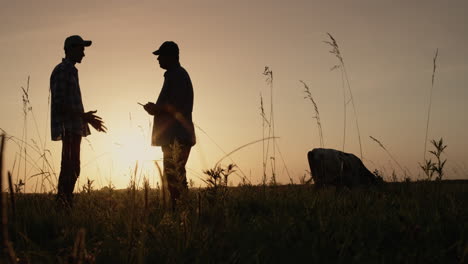 farmers stand in pasture and use a tablet 1